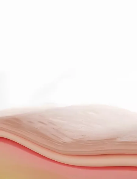 Banner Görseli